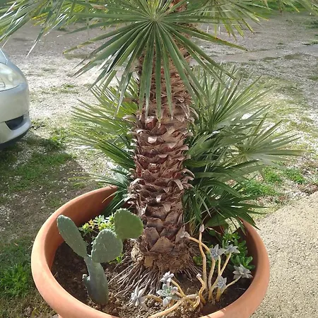 Roomsfree!!!! Affittacamere Ariano Irpino